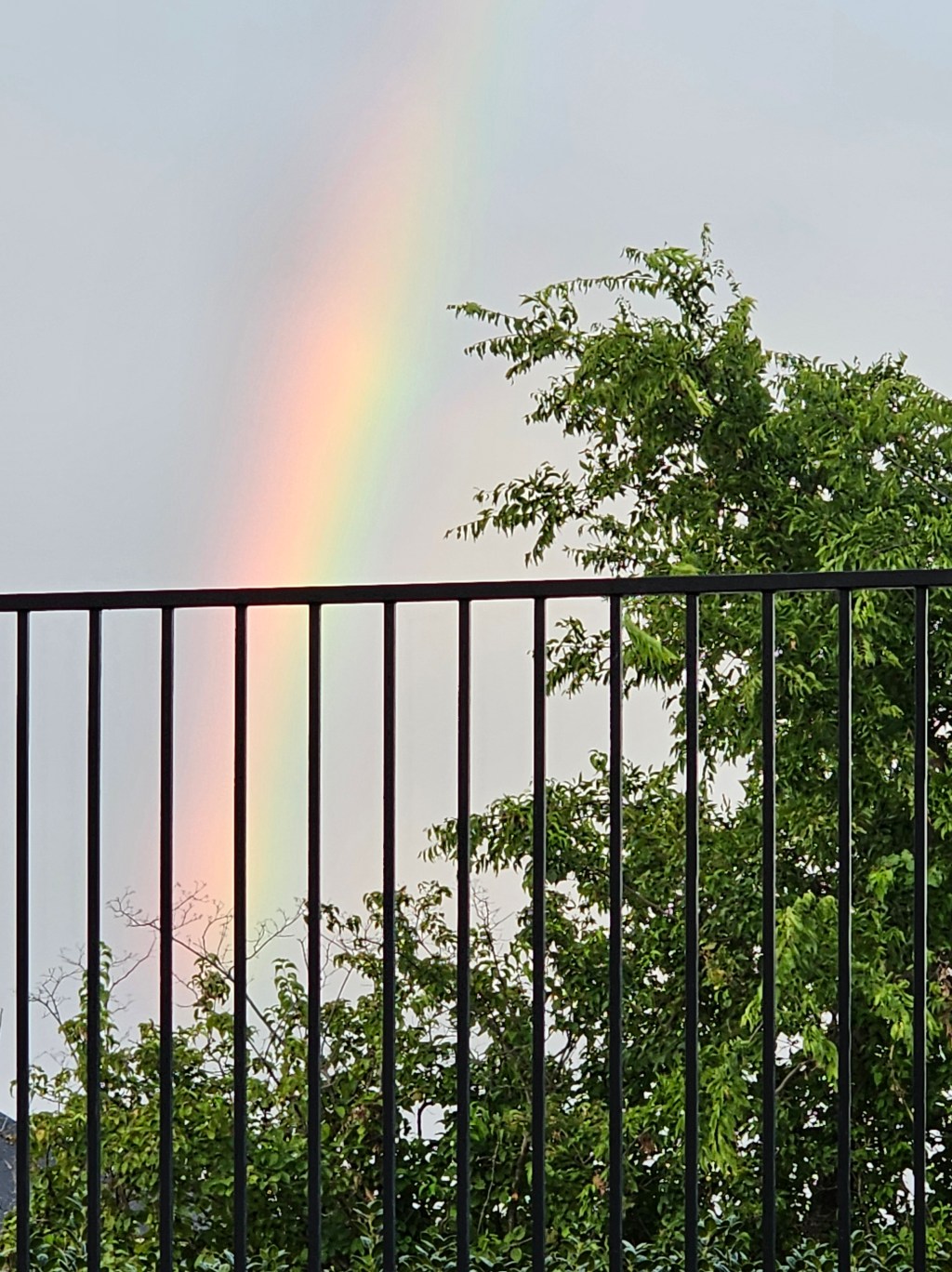 The War Between Grace and&nbsp;Truth